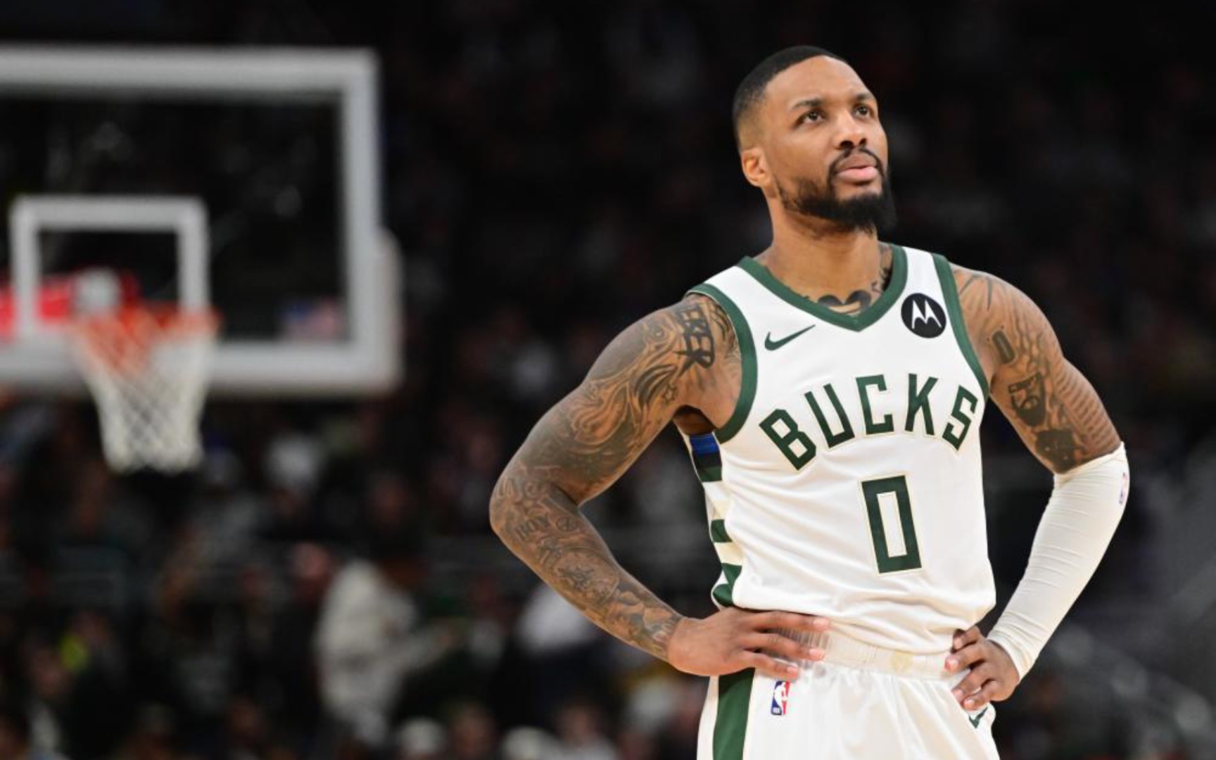 的亮相日 的亮相日